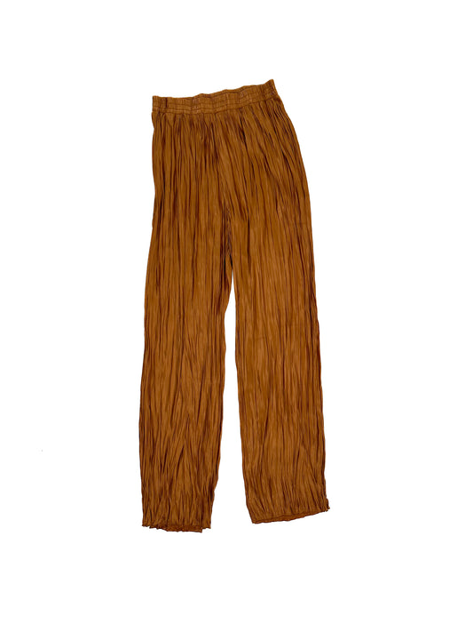 Brown Pleat Pants